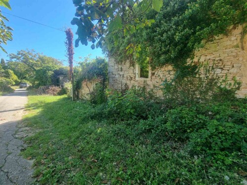 Thumbnail 4782993 - 4