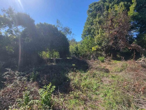 Thumbnail 4782993 - 8