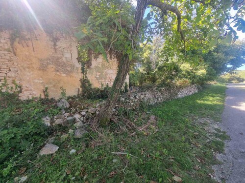 Thumbnail 4782993 - 5