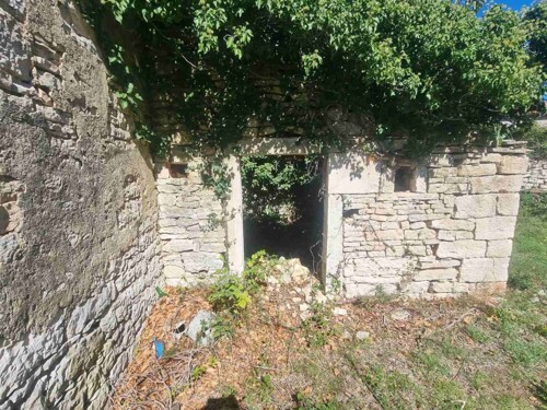 Thumbnail 4782993 - 3