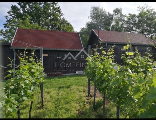 Klijet i vinograd, 34m2, Gornja Gračenica,