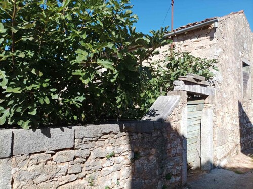 Thumbnail 4783017 - 7