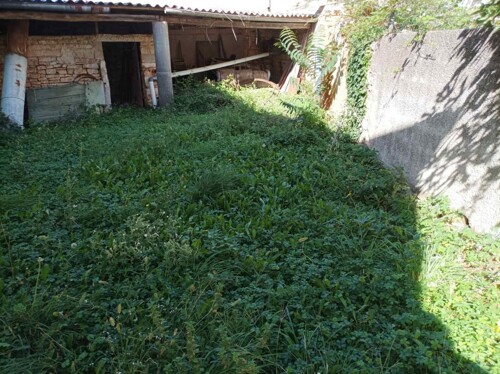 Thumbnail 4783017 - 5