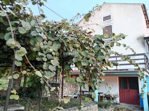 KUĆA U NIZU NA MIRNOJ LOKACIJI