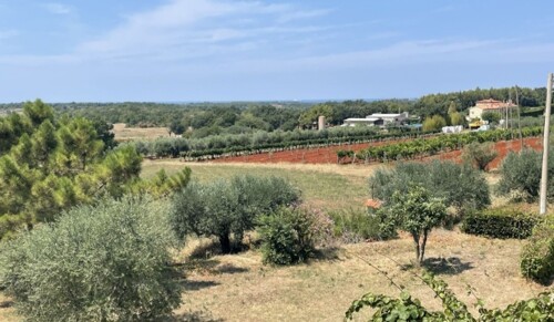 Thumbnail 4783046 - 3