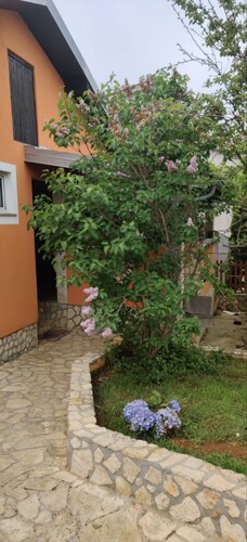 Thumbnail 4783071 - 8