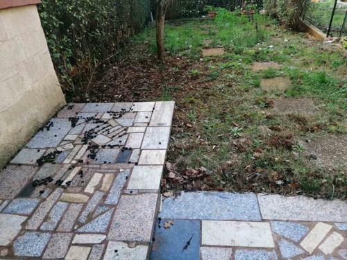 Thumbnail 4783078 - 7