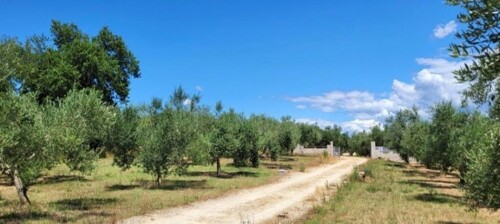 Thumbnail 4783087 - 11