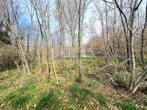Grižane - zemljište za izgradnju obiteljske kuće