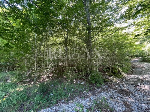 Bribir-građevinsko zemljište u šumskom području