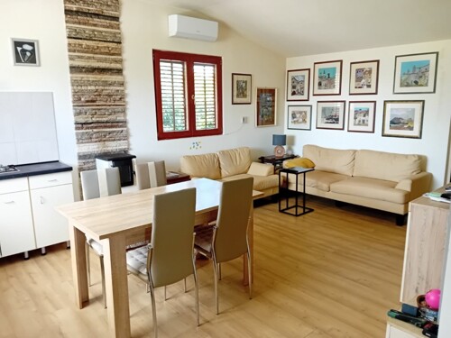 PREDIVNO IMANJE, KUĆA, MASLINIK, PRILIKA!!!