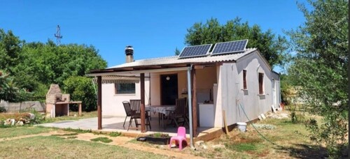 PREDIVNO IMANJE, KUĆA, MASLINIK, PRILIKA!!!