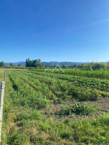 Građevinsko zemljište 2062m2, Samobor (okolica), razne moguć