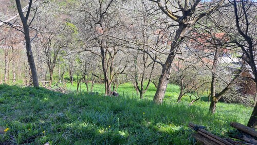 Na prodaju građevinsko zemljište 1574 m² – Branovac