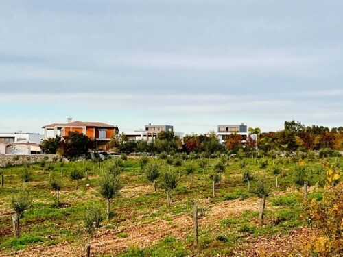 Građevinsko zemljište s pogledom na more, Vodnjan, Istra