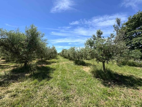 Građevinsko zemljište, Medulin, okolica, Istra