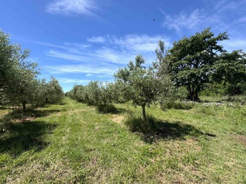 Građevinsko zemljište, Medulin, okolica, Istra