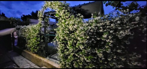 Stan s vrtom + dodatni studio u centru grada, Pula, Istra