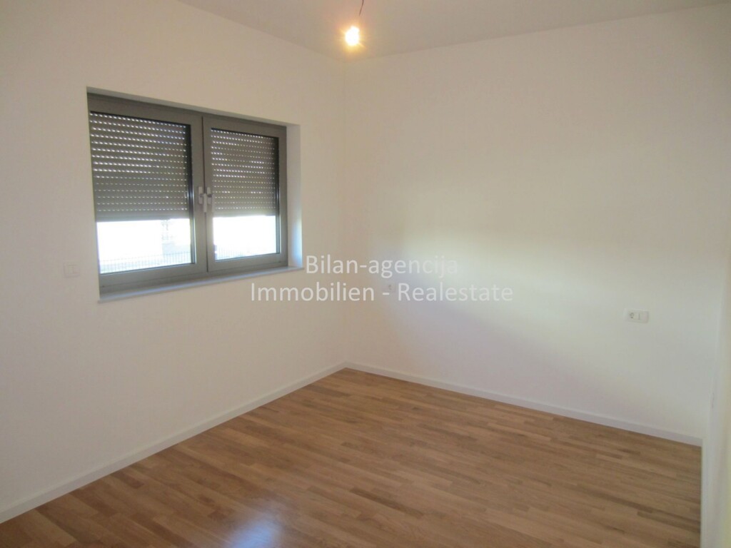 Image 4784119 - 7