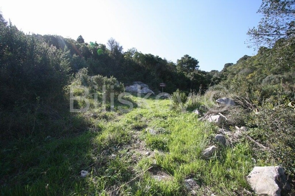 Image 4784699 - 6