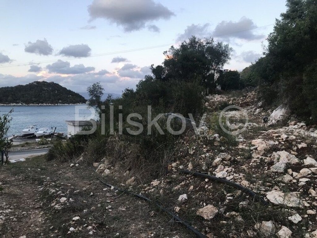 Image 4784699 - 4