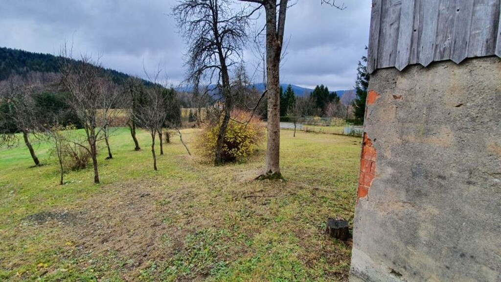 Image 4786016 - 23