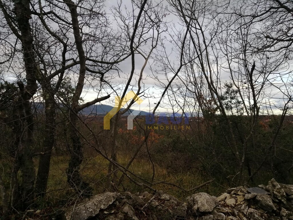 Image 4805969 - 2