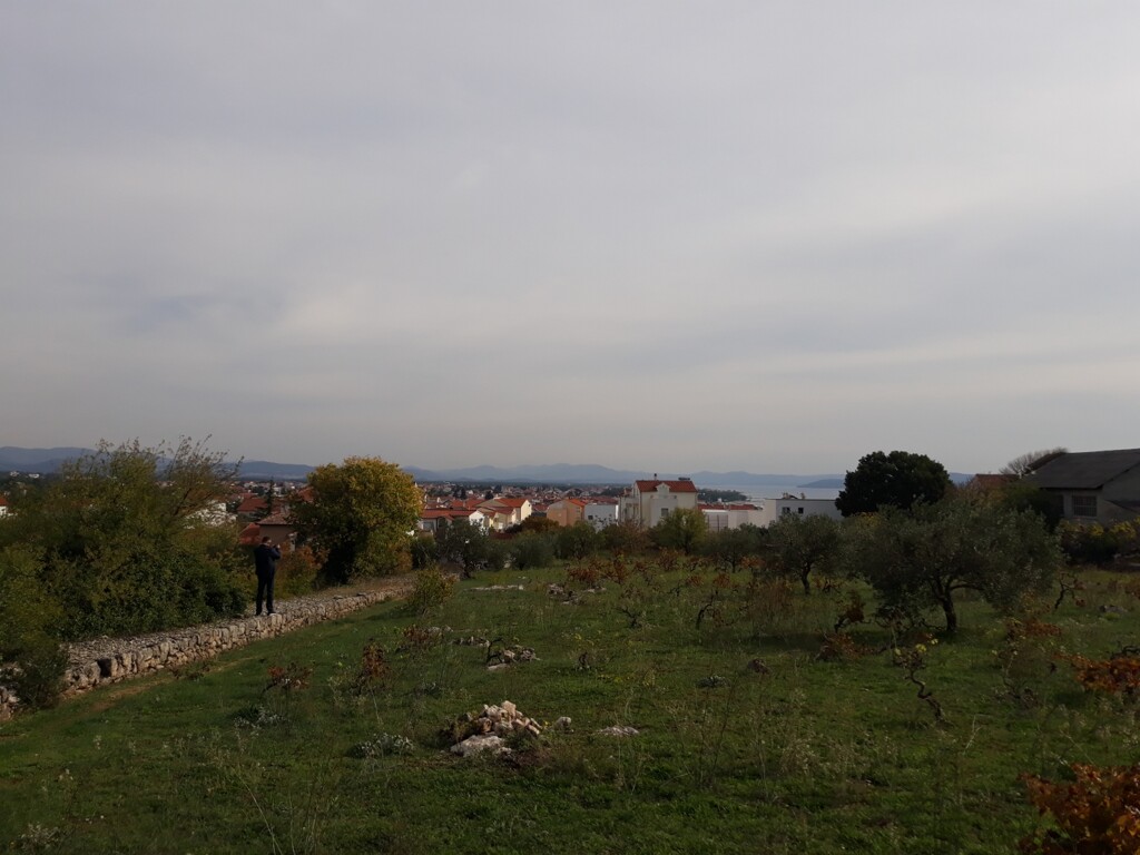 Image 4806645 - 1
