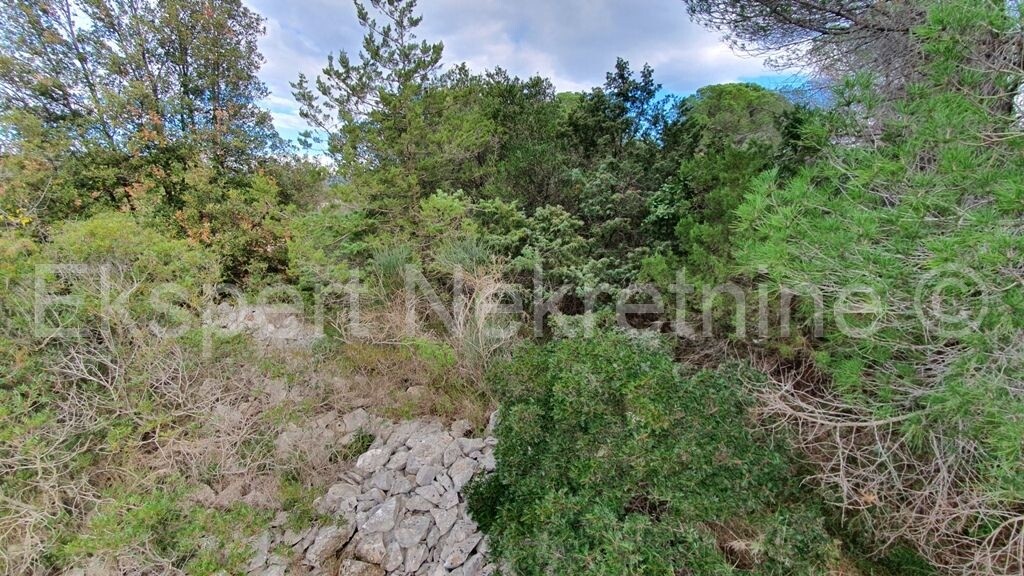Image 4813406 - 9