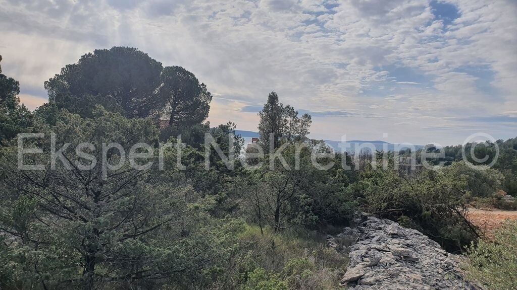Image 4813406 - 5