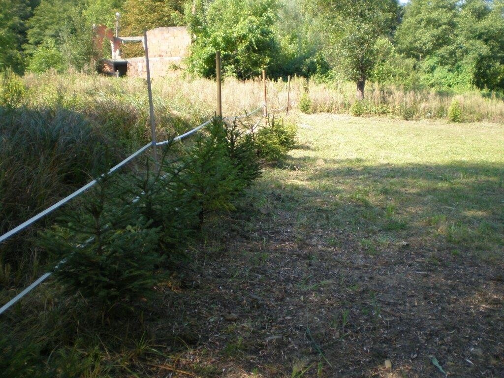 Image 4824826 - 10