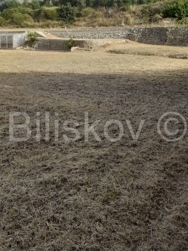 Image 4827692 - 4