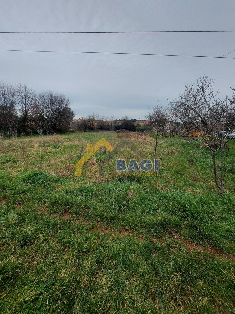 Image 4827931 - 1