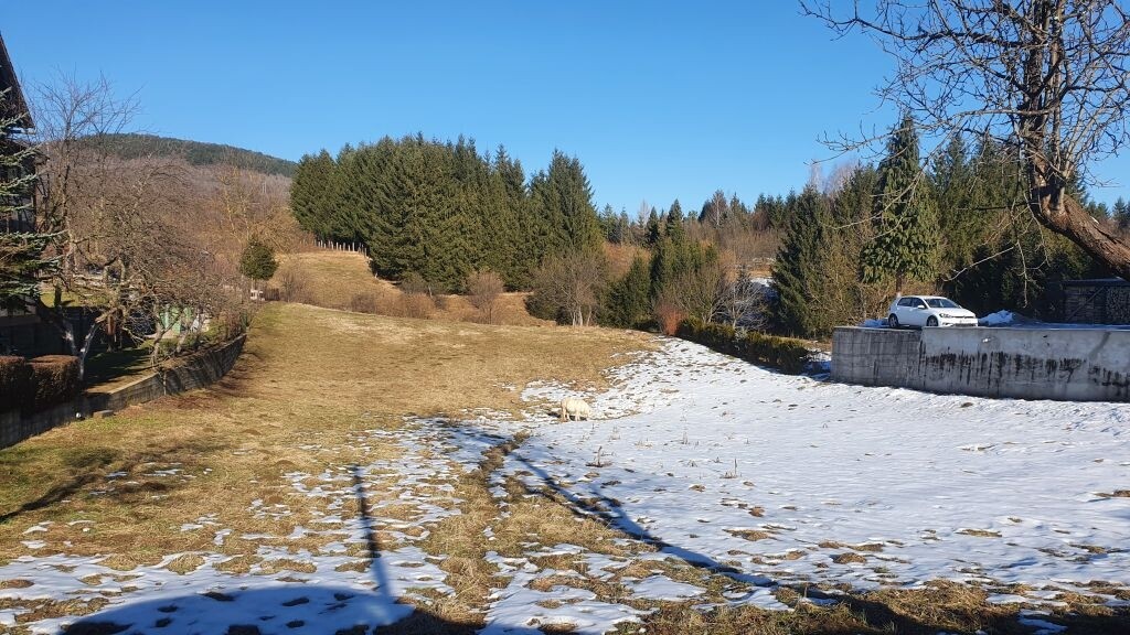 Image 4831315 - 1