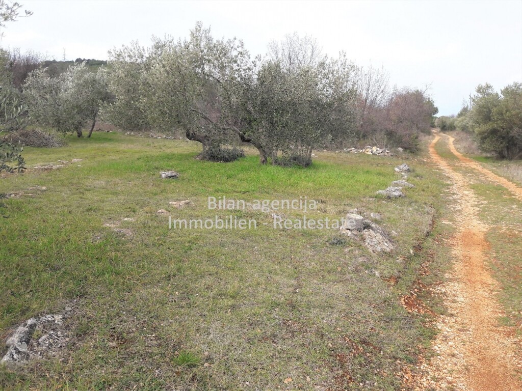 Image 4838027 - 8