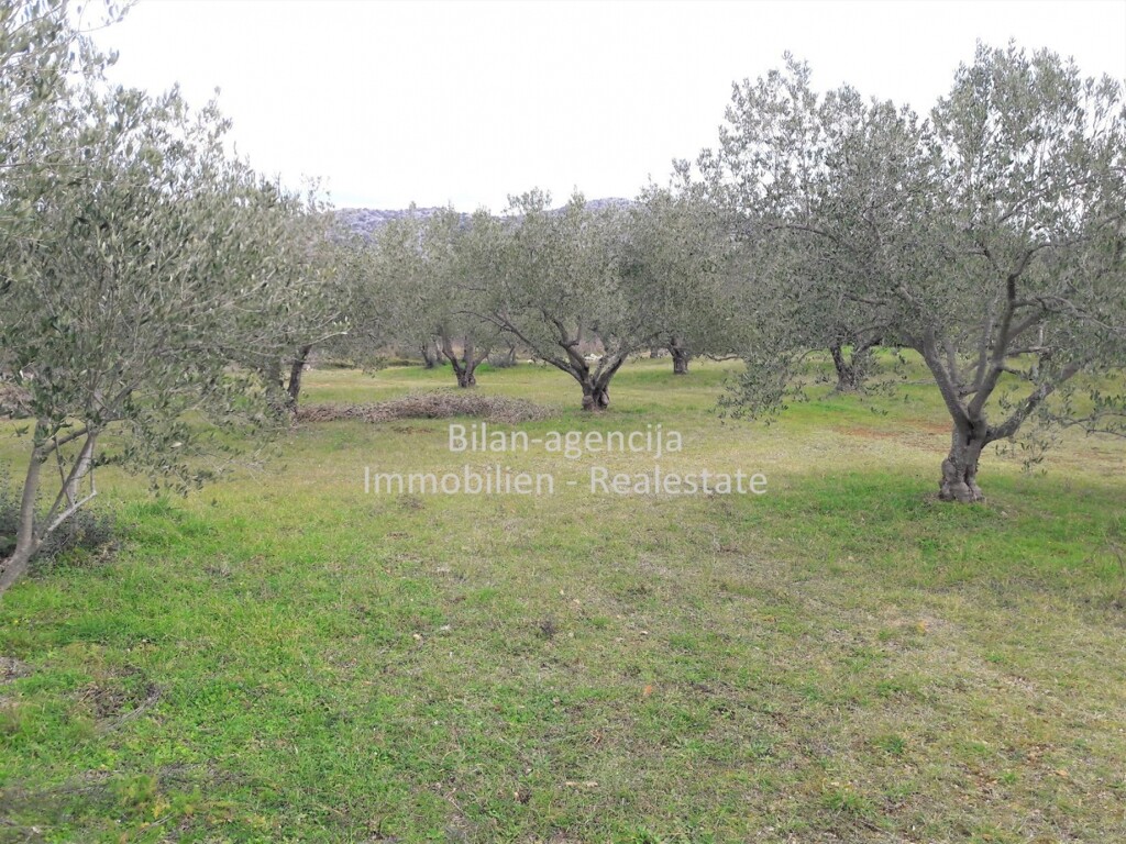 Image 4838027 - 1