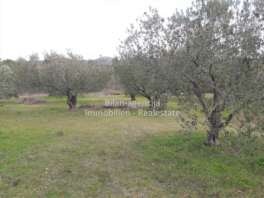 Image 4838027 - 2