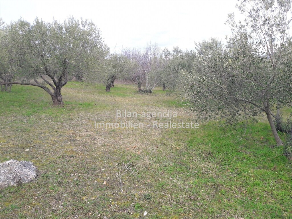 Image 4838027 - 12