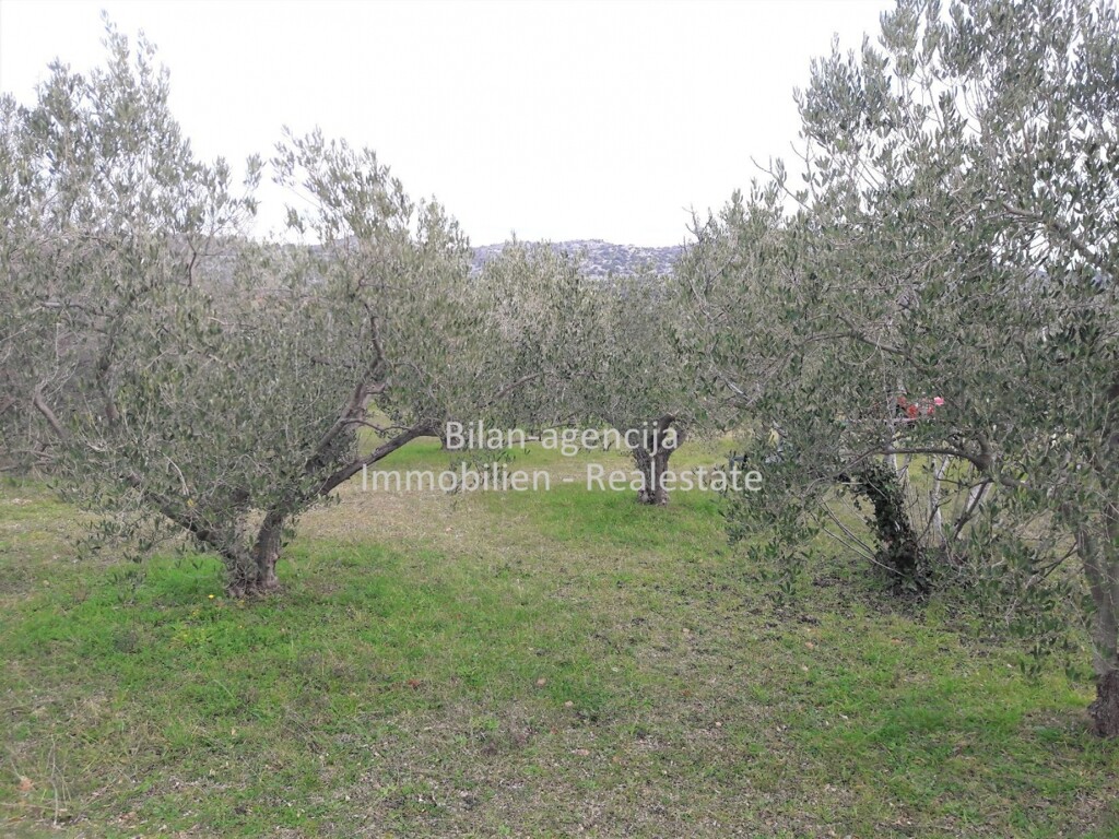 Image 4838027 - 14