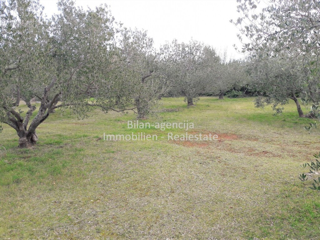 Image 4838027 - 3