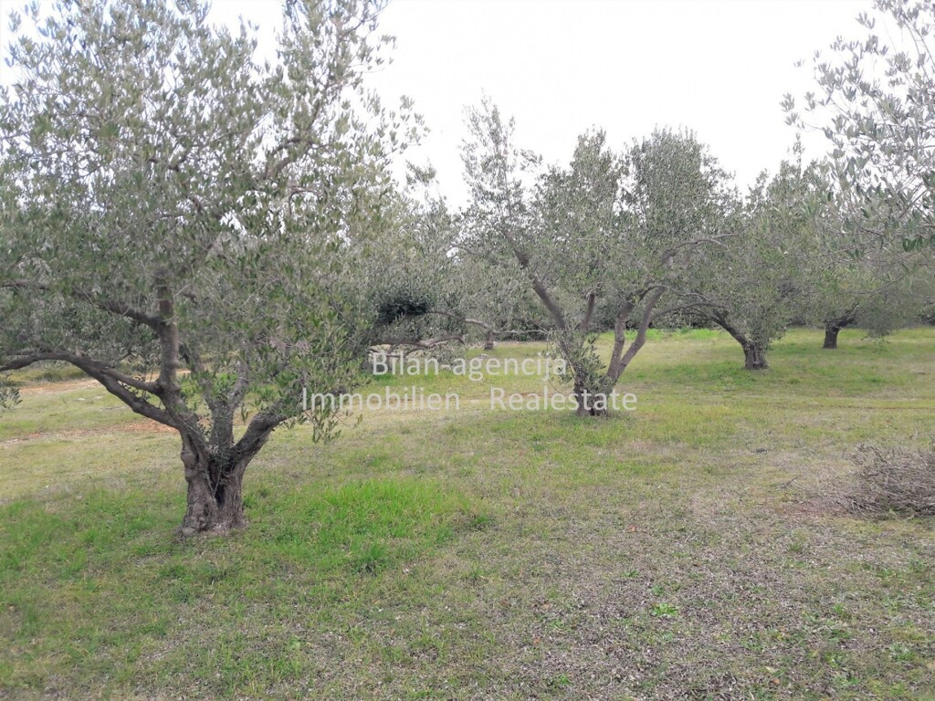 Image 4838027 - 5