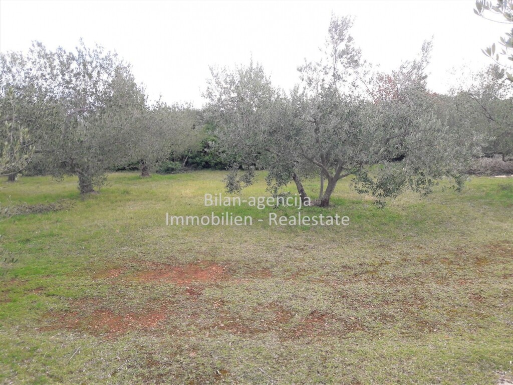 Image 4838027 - 4