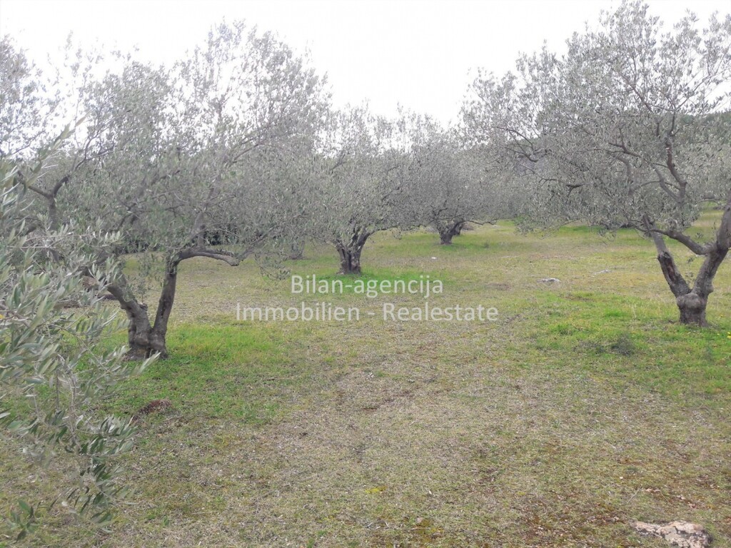 Image 4838027 - 10