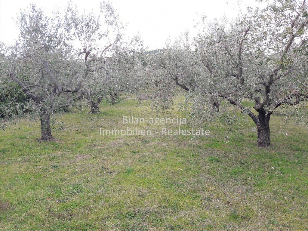 Image 4838027 - 7