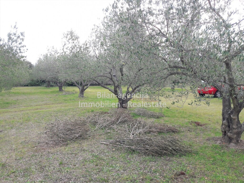 Image 4838027 - 6
