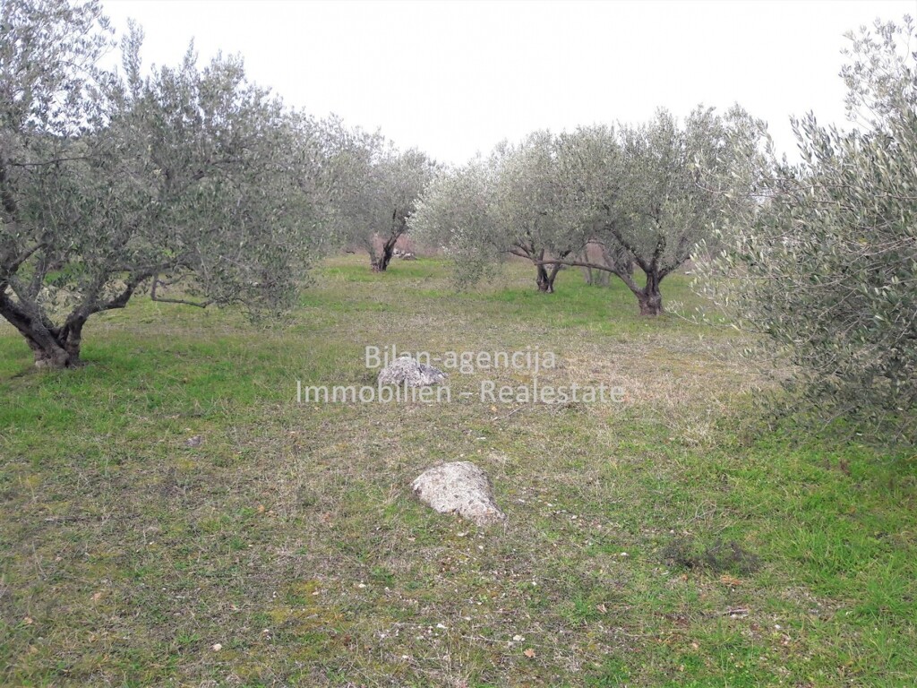 Image 4838027 - 11