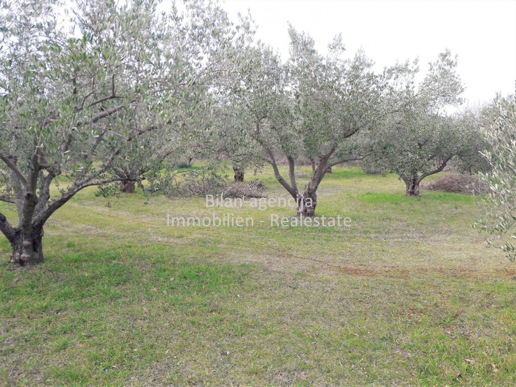 Image 4838027 - 9