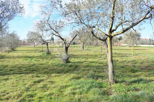 Thumbnail 4841651 - 5