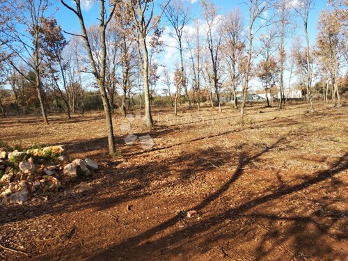 Thumbnail 4841714 - 6