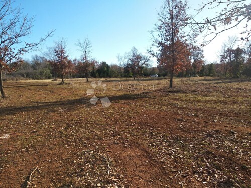 Thumbnail 4841714 - 4